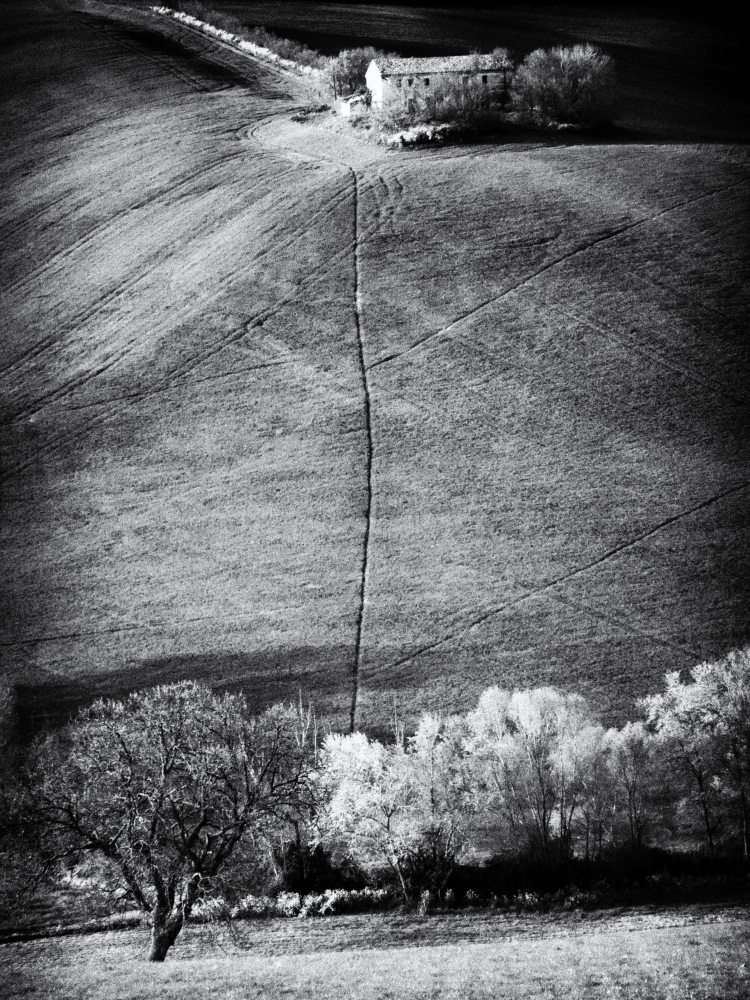 campagna marchigiana