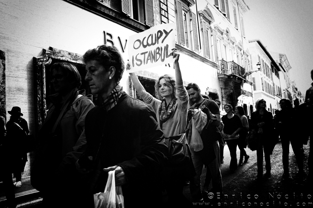 Manifestazione [Roma 2013]