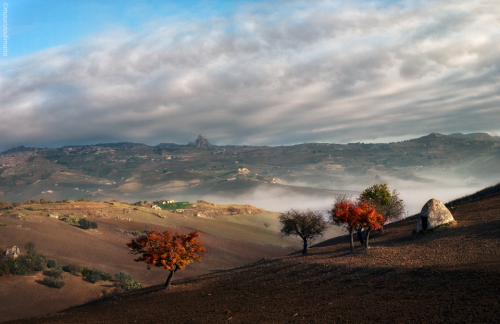 Quando la Natura Dipinge.......