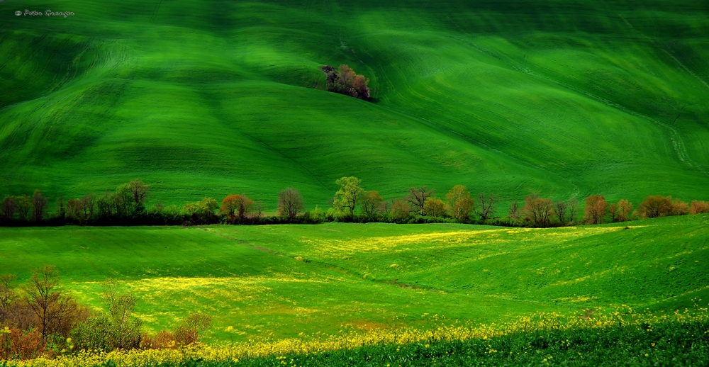 CAMPAGNA SENESE