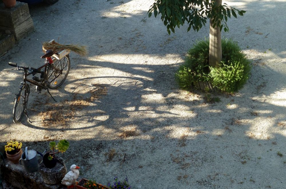 Cortile di campagna