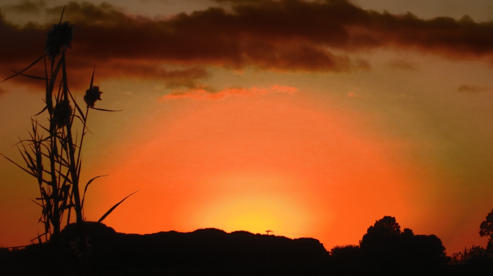 La canna e il tramonto