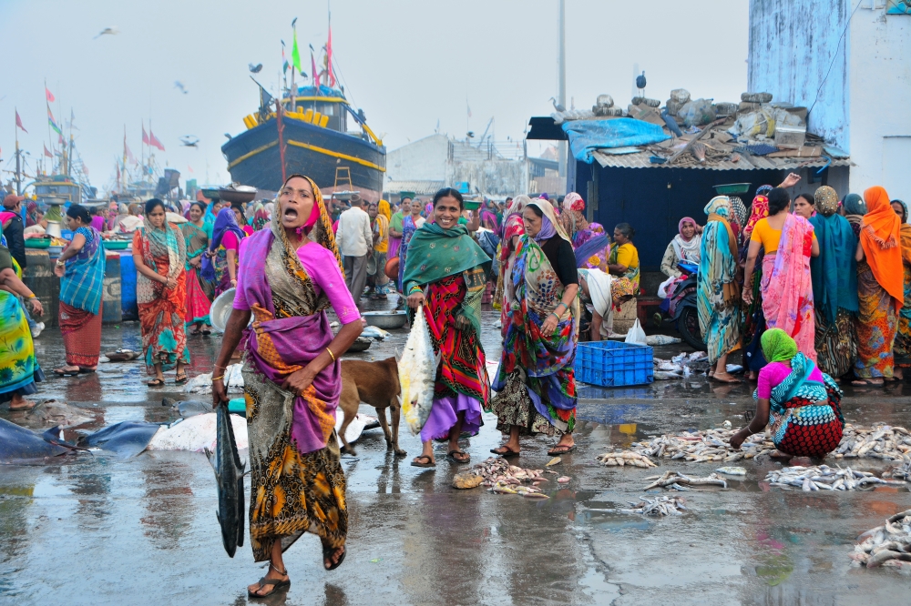 FIsh Market