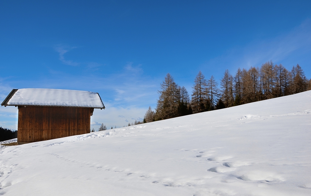 paesaggio invernale