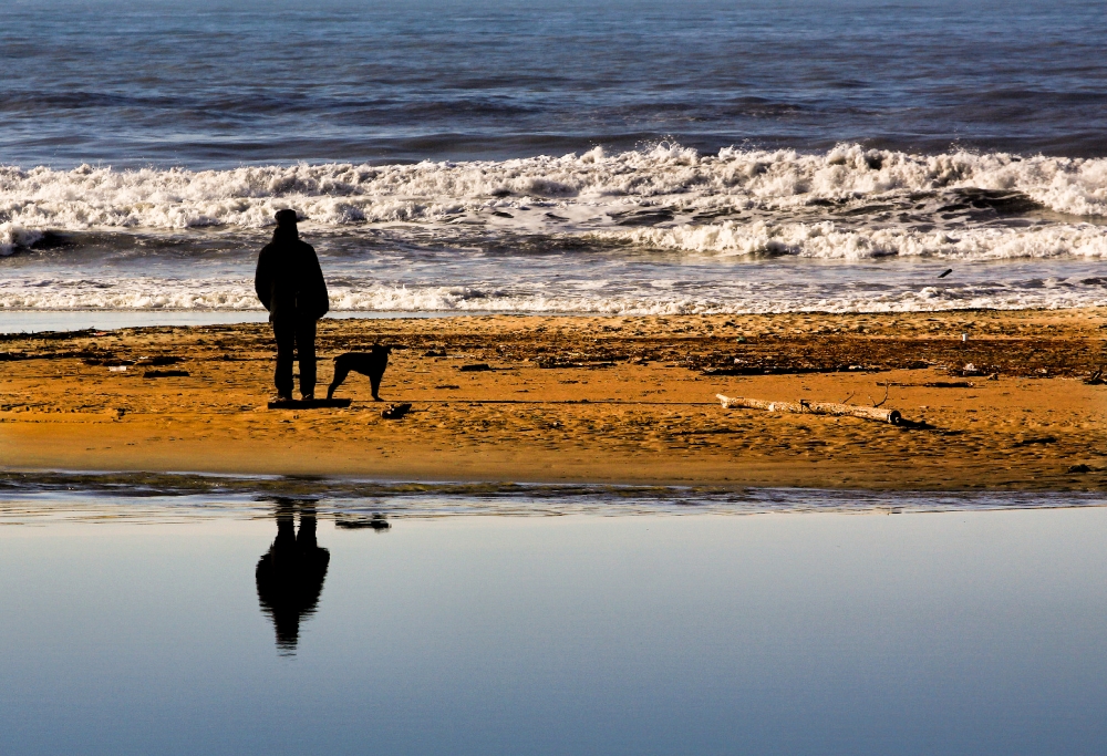 ....he and his dog....