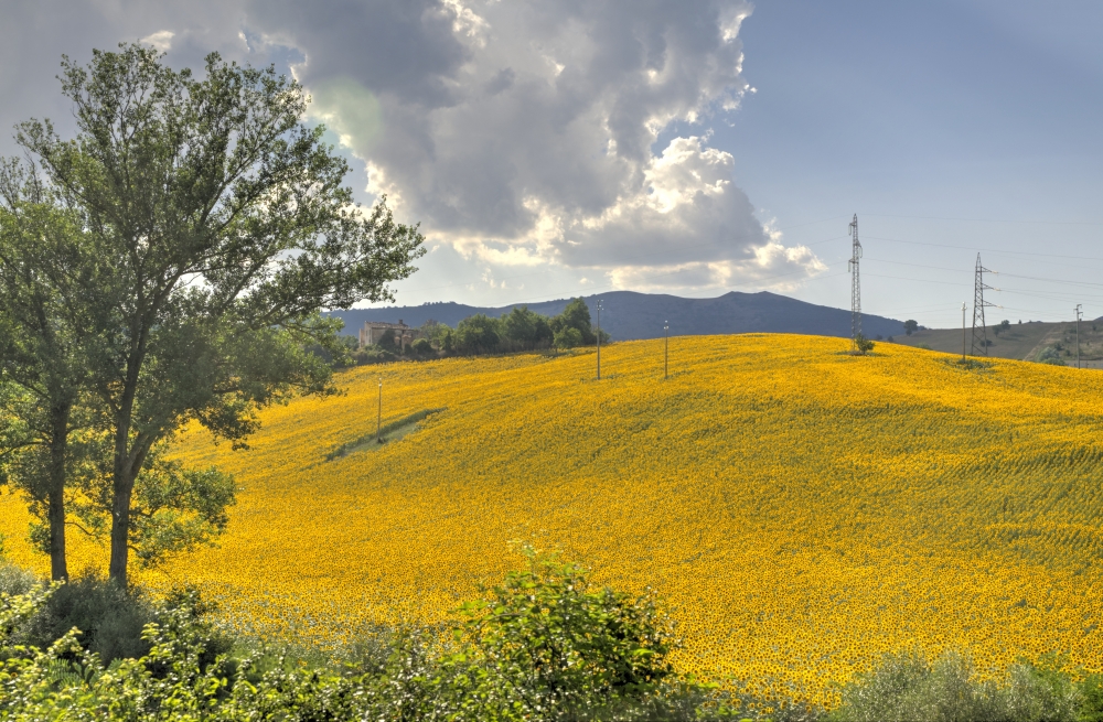 Meriggio d'Agosto.