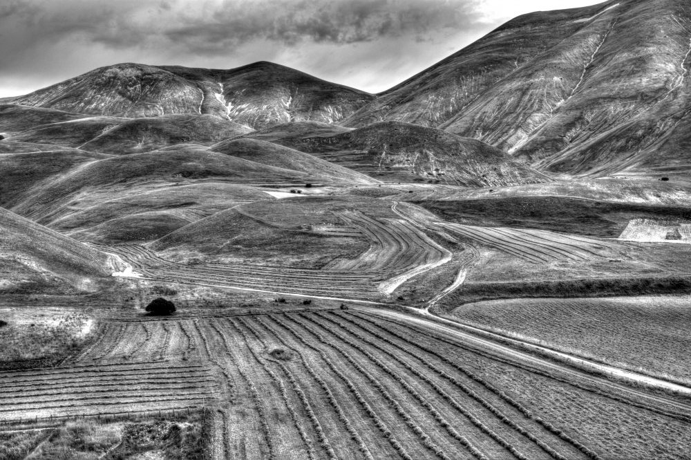 SEGNI DI TERRA