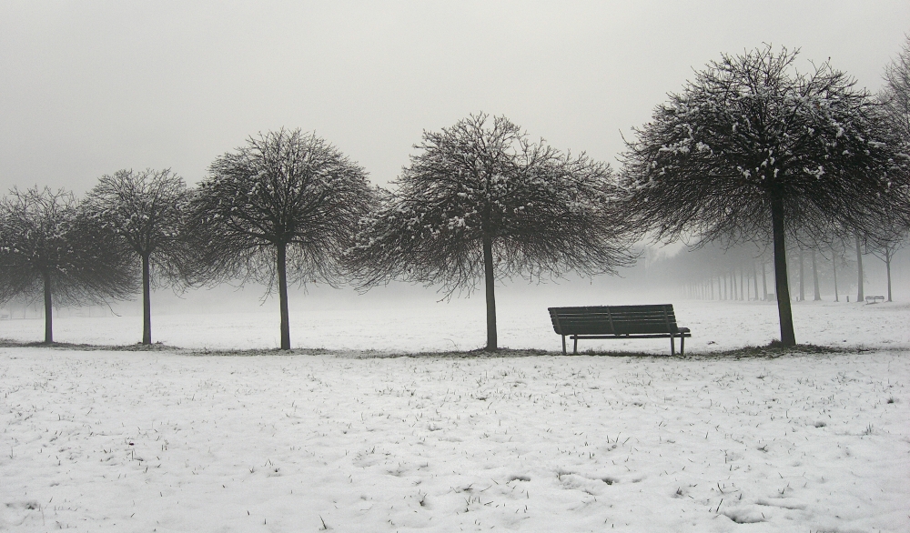 la panchina.. e la neve