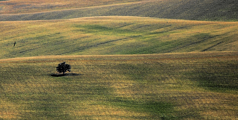 tuscan landscape