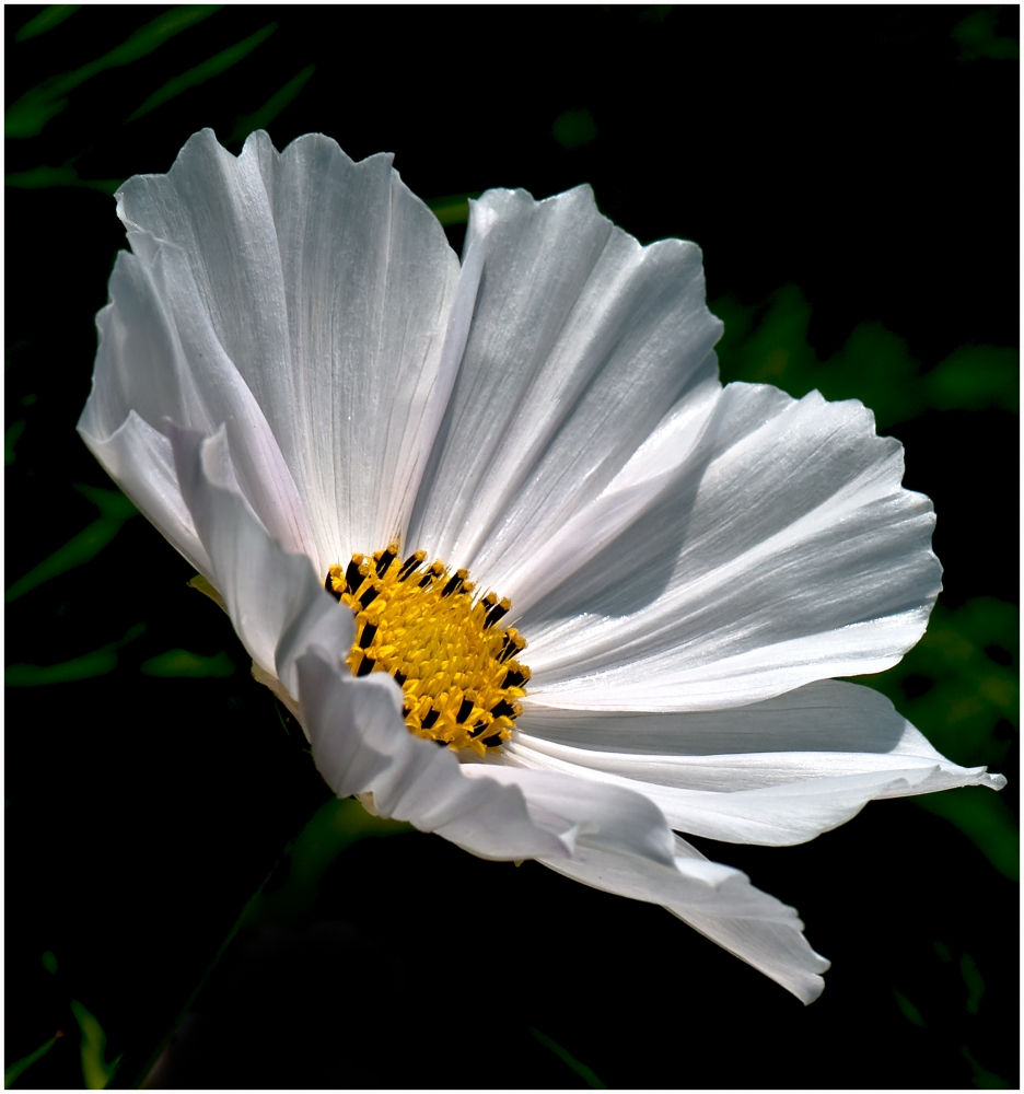 voglia di primavera