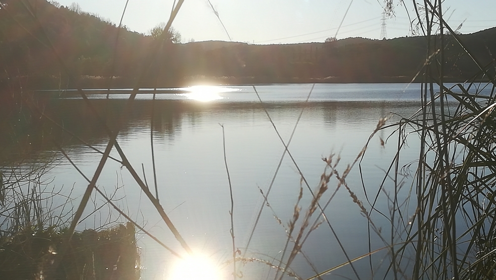 Il lago dell'Accesa