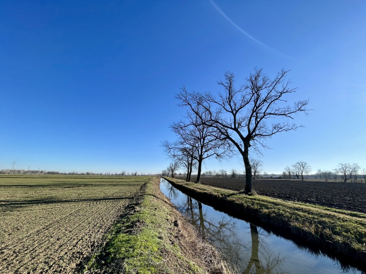 Pianura lombarda d’inverno